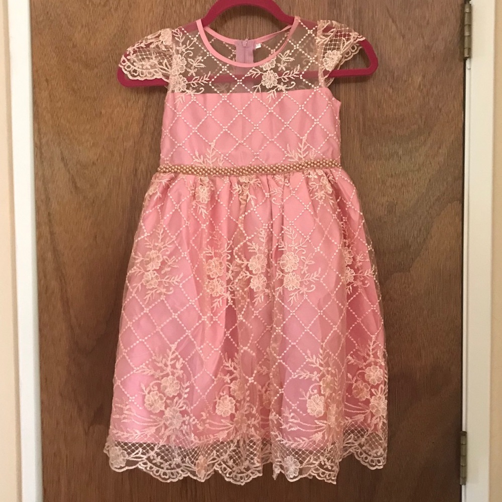 Beautiful Pink Princess Flower Girl Lace Dress